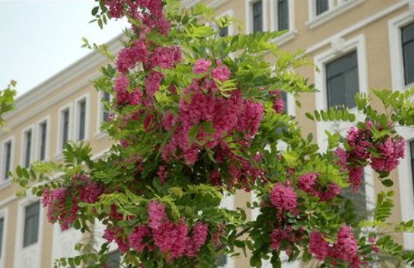 У�����㻱