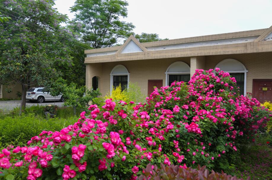 �����ž�