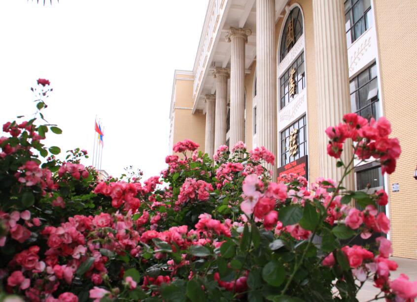 ����ӳ��